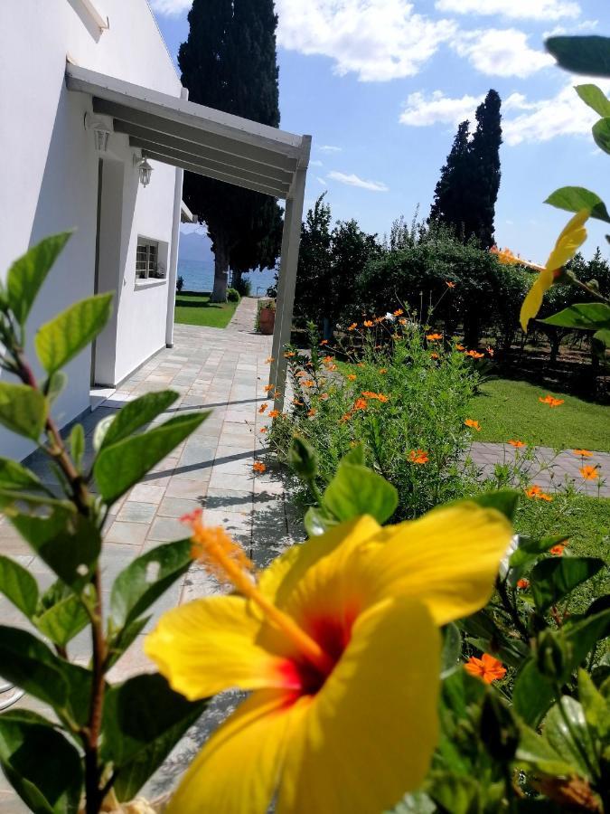Villa Maria Epidaurus Luaran gambar